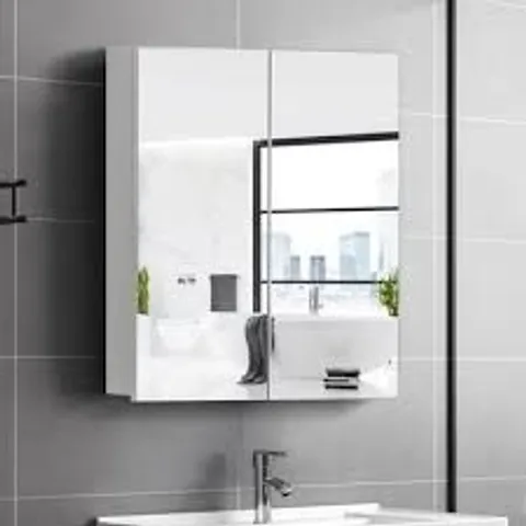 BOXED KARYNNA W 600MM H SURFACE FRAMED MEDICINE CABINET MIRROR 2 ADJUSTABLE (1 BOX)