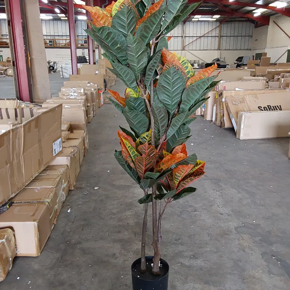 BOXED 140CM ARTIFICIAL CODIAEUM PLANT
