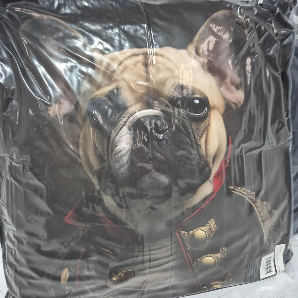 LOT OF 16 AS NEW TOP DOG TAN FRENCHIE THEMED FILLED CUSHIONS - 45X45CM