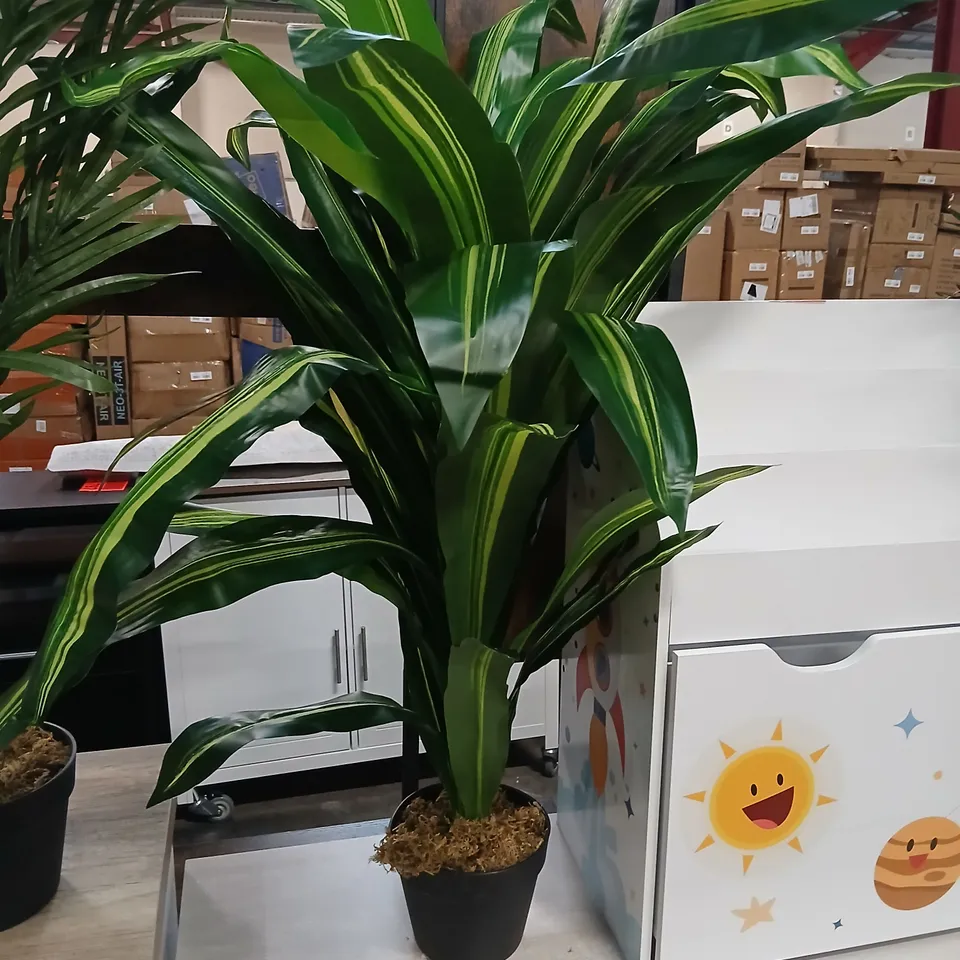 CHARLESTOWN ARTIFICIAL DRAMA ENABLES PLANT IN POT