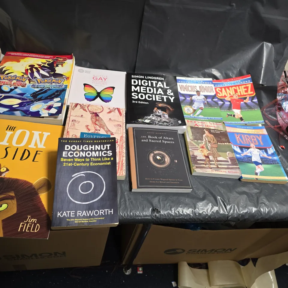 ASSORTED BOOKS LOT – MIX OF NON-FICTION & FICTION TITLES