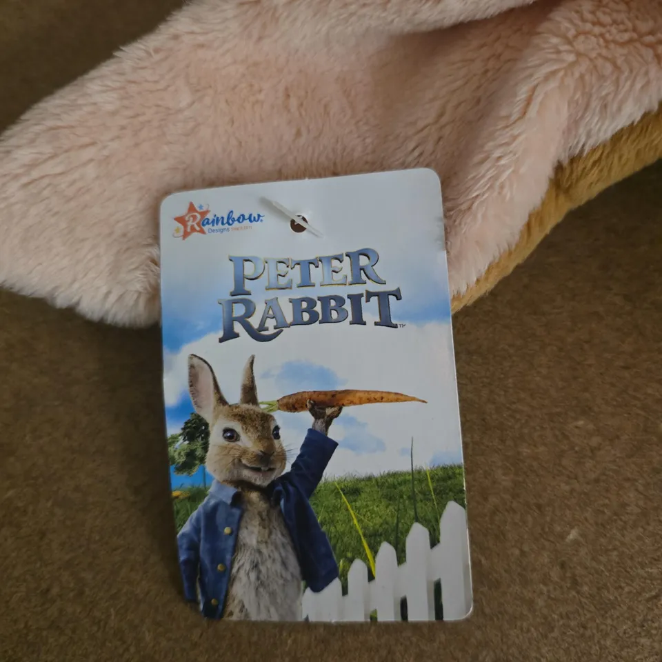 RAINBOW DESIGNS PETER RABBIT PLUSH TOY