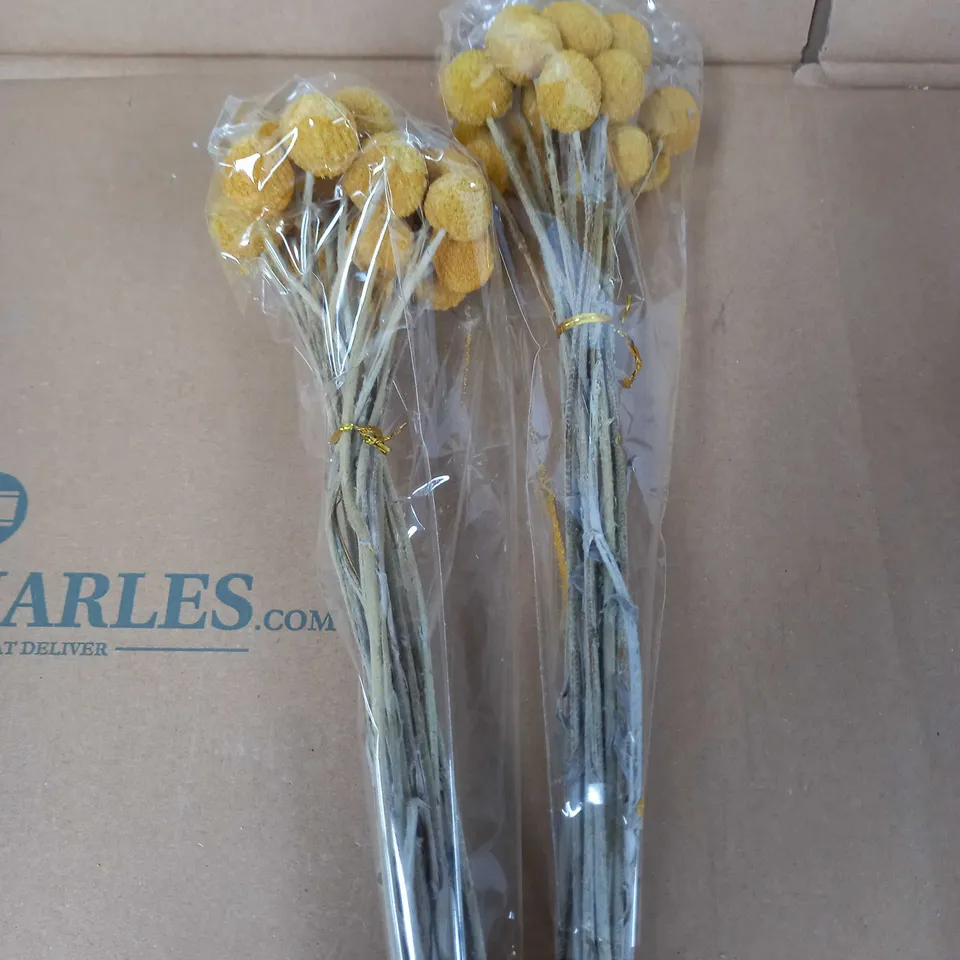BOX OF 2 X WRAPPED BUNCHES OF DRIED FLOWERS (20 STEMS PER BUNCH/BOUQUET, CRASPEDIA, AS PER BOX LABEL), APPROX. 45 CM LONG IN TOTAL
