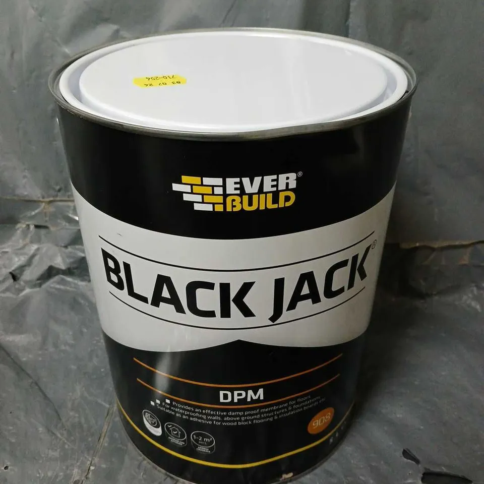 EVERBUILD BLACK JACK DPM 908 (5L) - COLLECTION ONLY