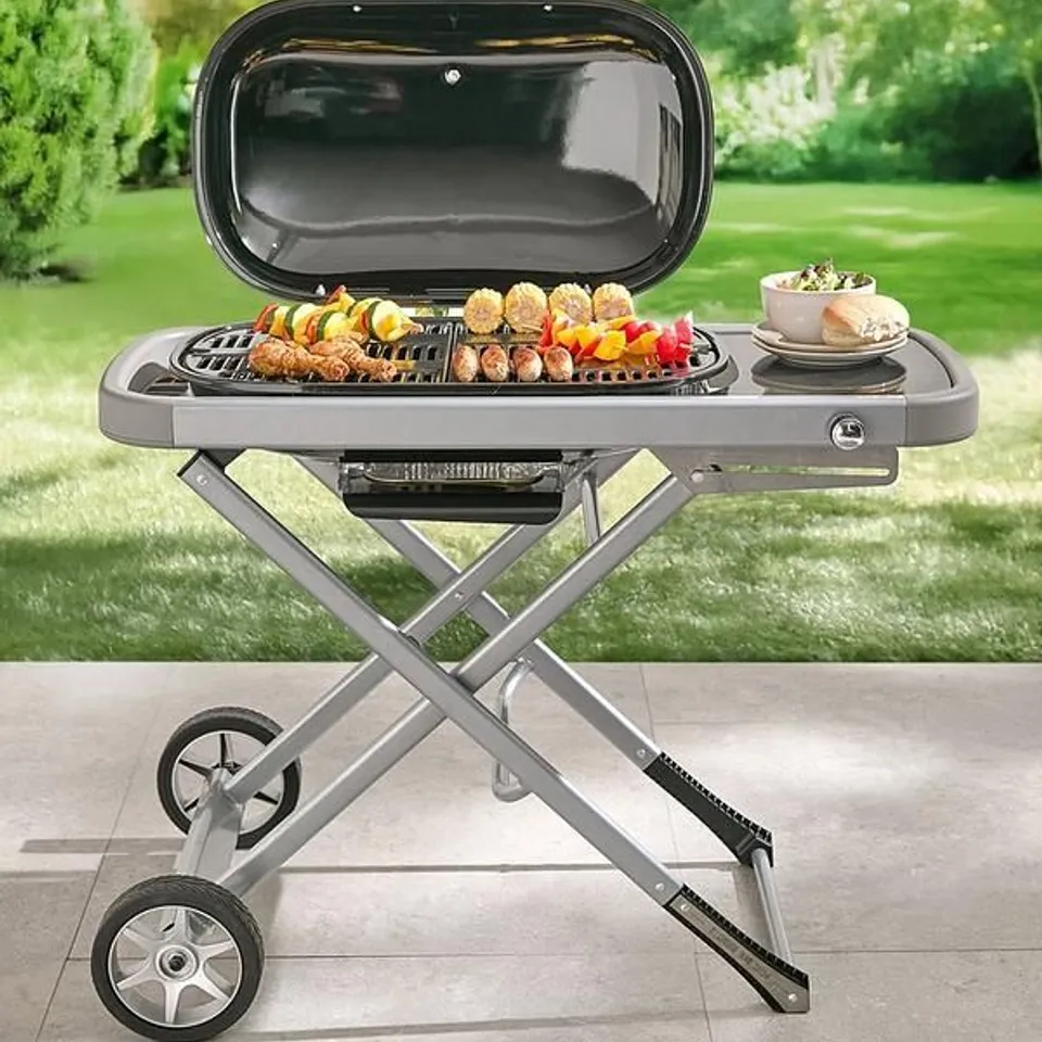 FOLDABLE GAS BBQ - COLLECTION ONLY
