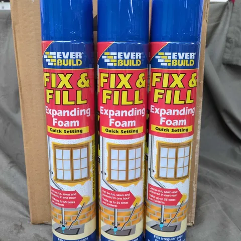 LOT OF 12 EVERBUILD FIX & FILL 750ML EXPANDING FOAMS