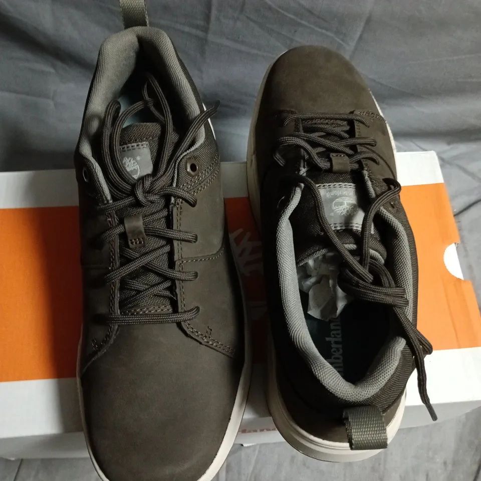 TIMBERLAND MAPLE GROVE LOW LACE SNEAKER – DARK BROWN NUBUCK, UK 8