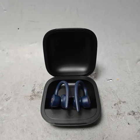 BEATS POWERBEATS PRO 2