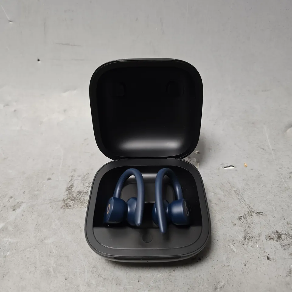 BEATS POWERBEATS PRO 2