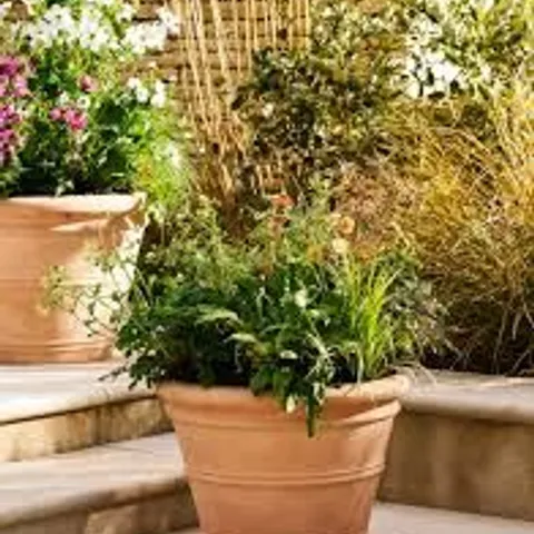 BOXED NEWNHAM PLANTER 54cm