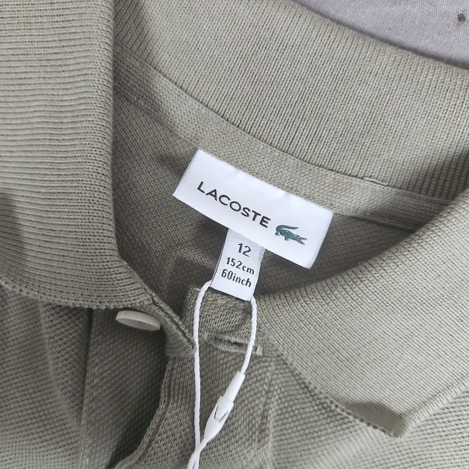 LACOSTE POLO IN KHAKI - SIZE 12A