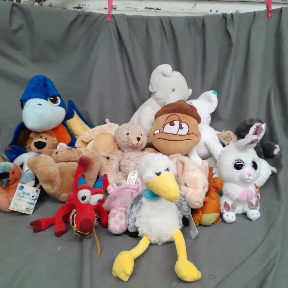 BOX OF ASSORTED PLUSH SOFT TEDDIES