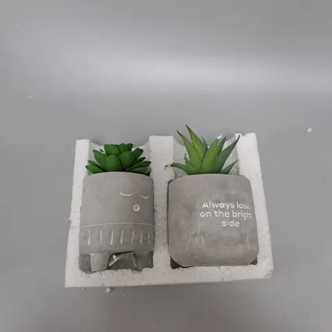 TYPO TINY PLANTER AND SYNTHETIC PLANT - CONCRETE SLEEPY
