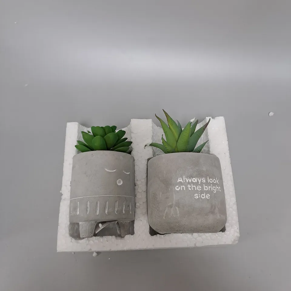 TYPO TINY PLANTER AND SYNTHETIC PLANT - CONCRETE SLEEPY 