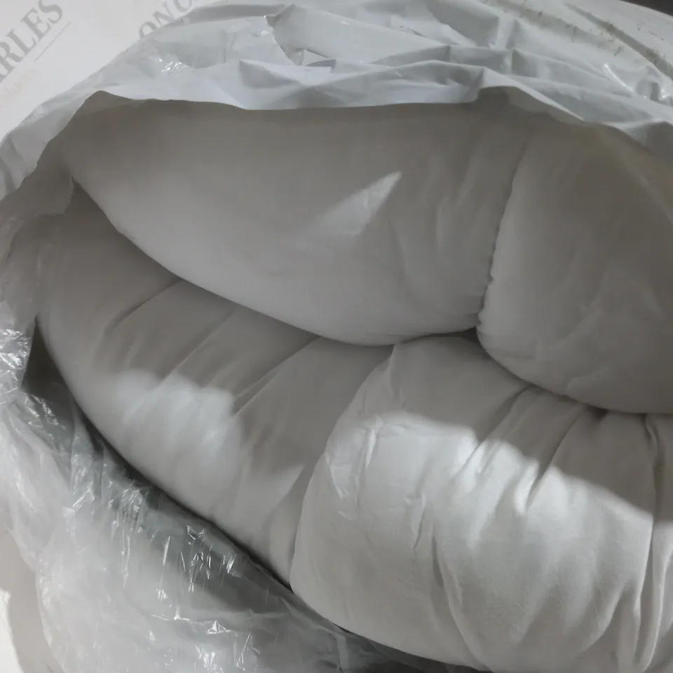 TWO ASSORTED SINGLE PILLOWS 