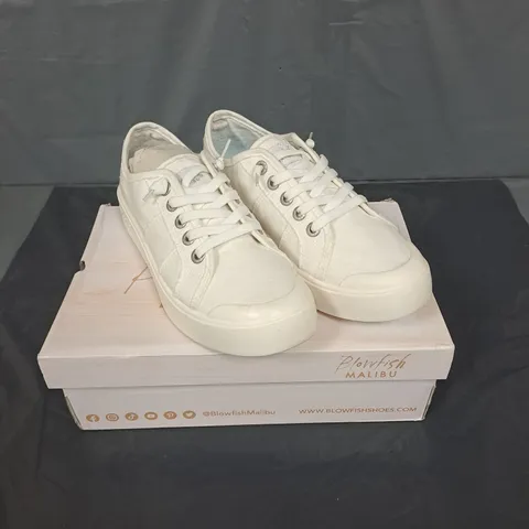 BOXED PAIR OF BLOWFISH MALIBU VALTEN LIGHTWEIGHT TRAINERS - 6