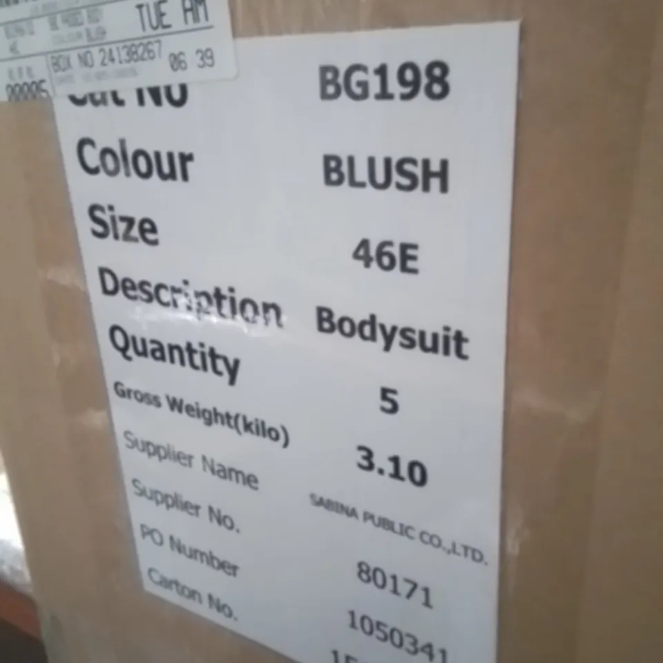 BOX CONTAINING APPROXIMATELY 5 BRAND NEW SIMPLY BE BLUSH BODYSUIT SIZE 46E