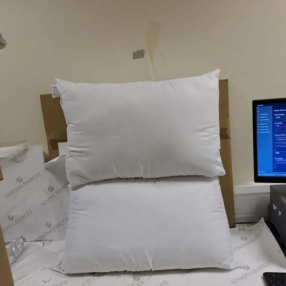 SET OF 2 SOFT WHITE PILLOWS