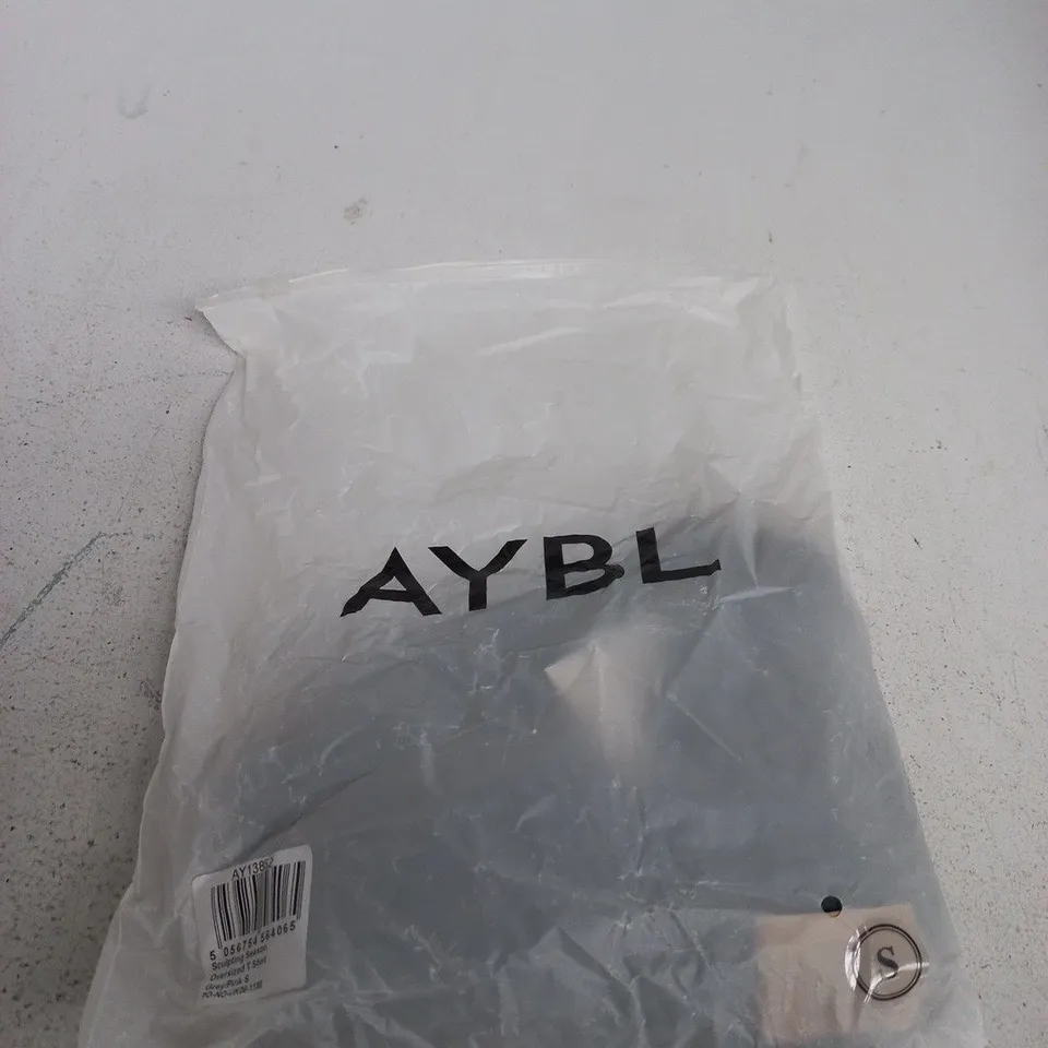 AYBL SCULPTING SEASON OVERSIZED T SHIRT – SIZE SMALL