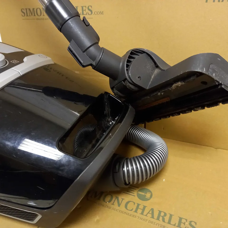 MIELE BLIZZARD CX1 CAT & DOG PRO POWERLINE VACUUM