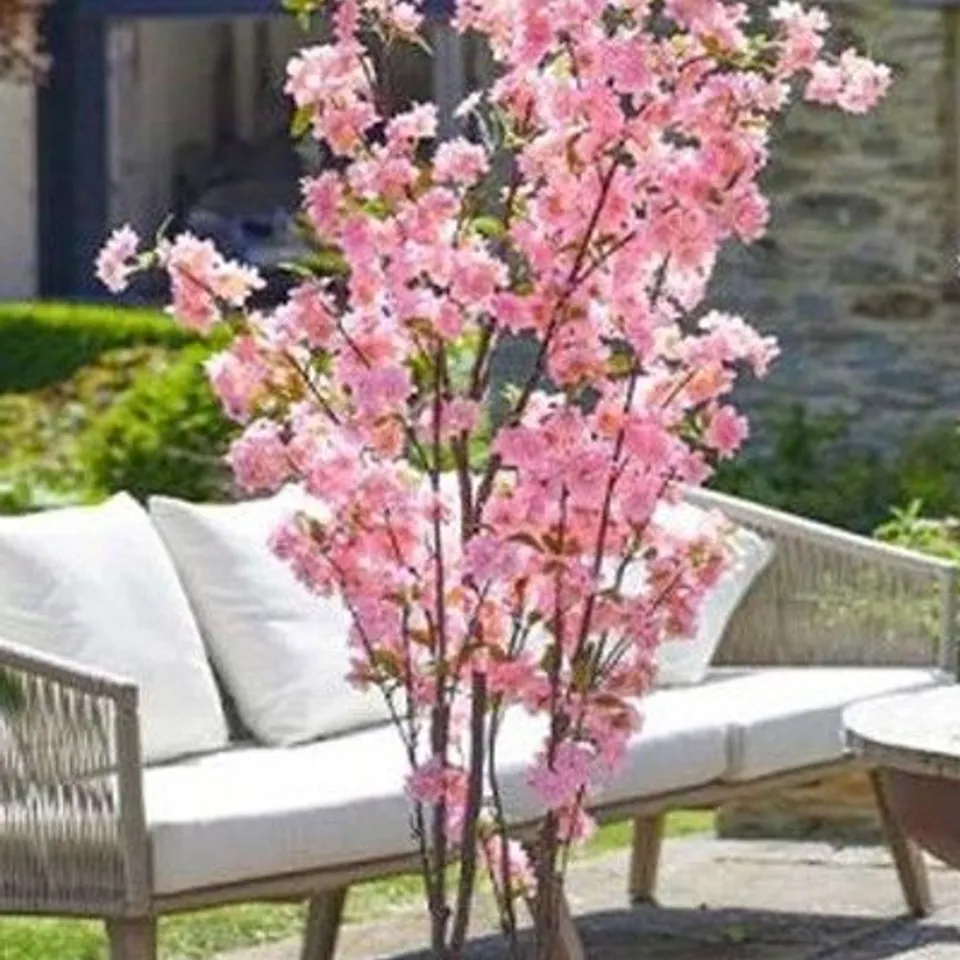 SMART GARDEN PINK CHERRY TREE - COLLECTION ONLY