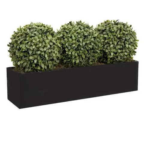 BOXED 56.8CM PLANT