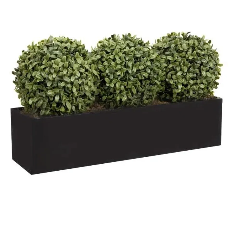 BOXED 56.8CM PLANT
