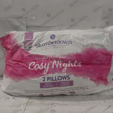 BAGGED SLUMBERDOWN PAIR OF SUPER SUPPORT PILLOWS