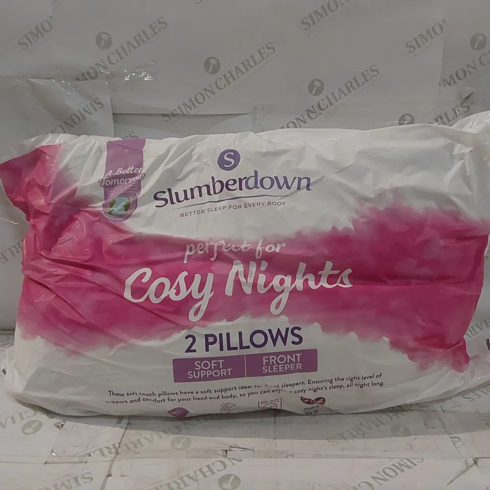 BAGGED SLUMBERDOWN PAIR OF SUPER SUPPORT PILLOWS