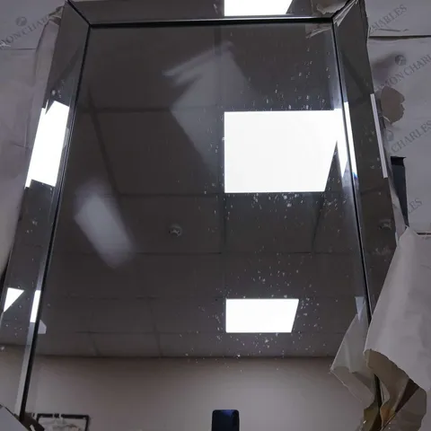 GALLERY LUNA MIRROR IN SILVER - COLLECTION ONLY