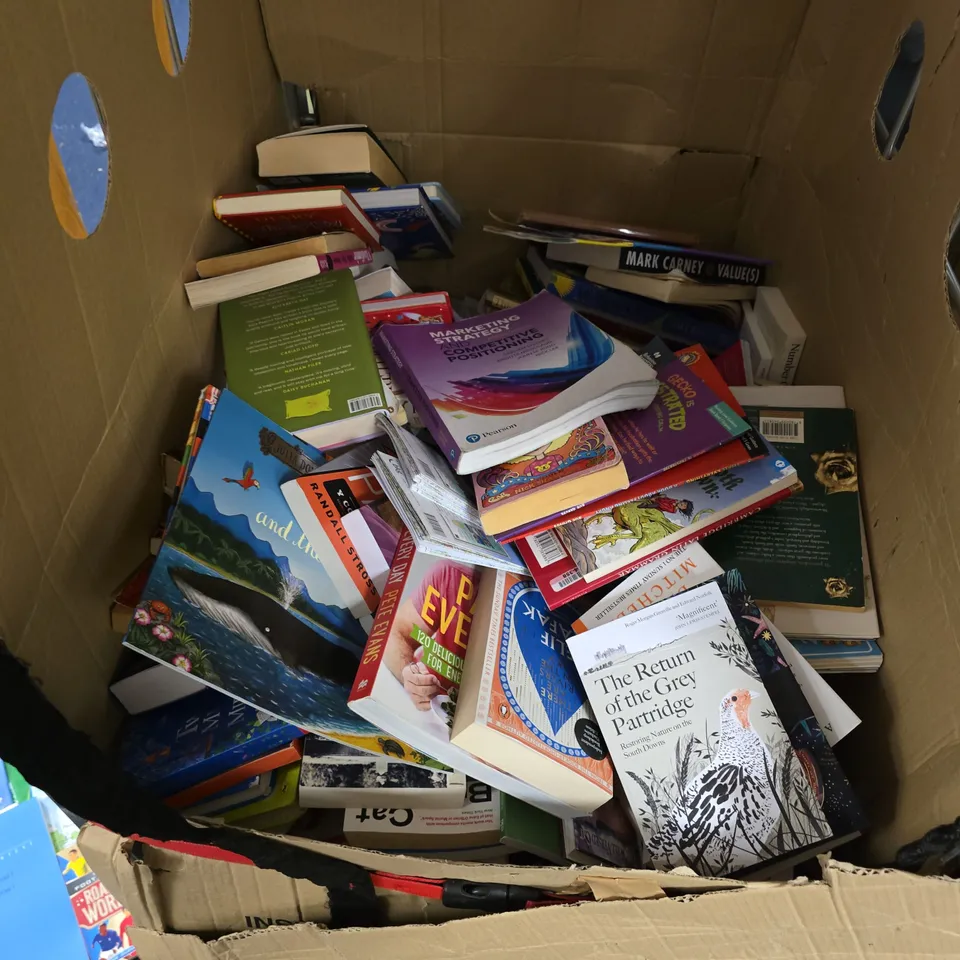 ASSORTED BOOKS LOT – MIX OF NON-FICTION & FICTION TITLES