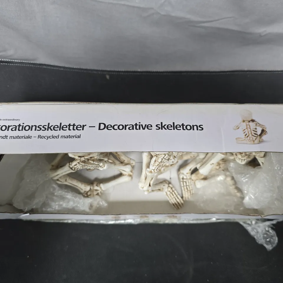 Decorative Skeletons – Set of 3 for Halloween Home Decor