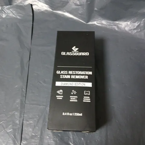 GLASSGUARD GLASS RESTORATION STAIN REMOVER DIAMOND EDITION – 250ML