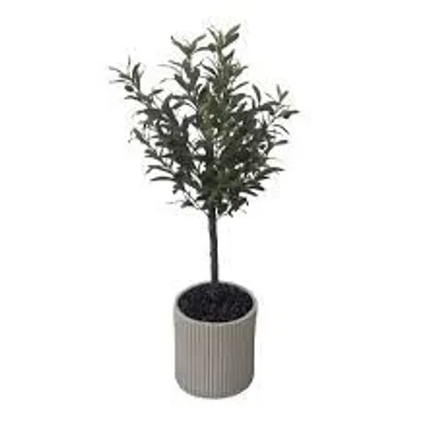 K BY KELLY HOPPEN FAUX OLIVE INDOOR OUTDOOR TREE IN POT