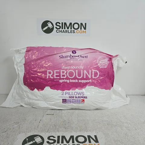 SLUMBERDOWN REBOUND 2 PILLOWS SIDE SLEEPERS