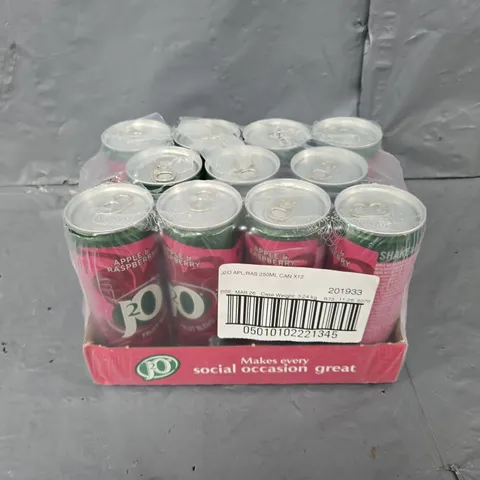 J20 APPLE & RASPBERRY 250ML X 11