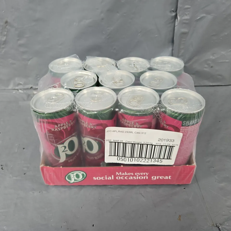 J20 APPLE & RASPBERRY 250ML X 11