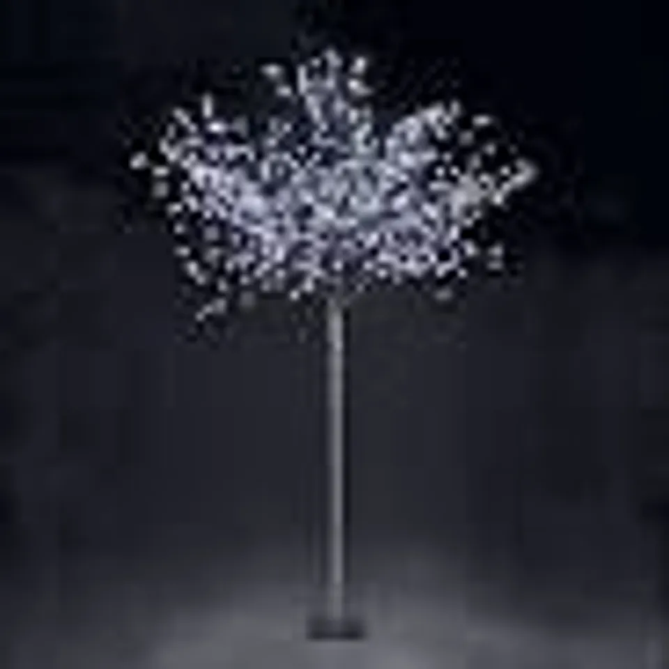 BOXED SNOWTIME CHERRY BLOSSOM OUTDOOR TREE - COLLECTION ONLY