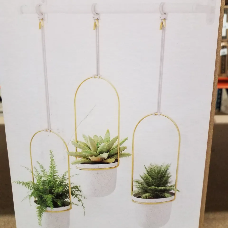 BOXED ARDELLA HANGING BASKET - WHITE  