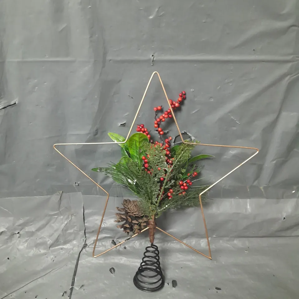 STAR WITH FOLIAGE CHRISTMAS TREE TOPPER RRP £15.99