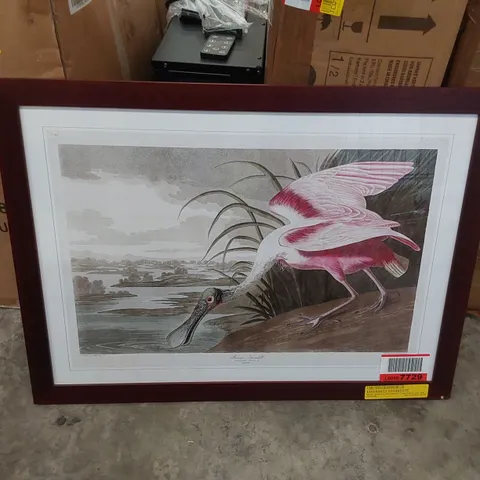 ROSEATE SPOONBILL BY JOHN AUDUBON - SINGLE PICTURE FRAME PRINT