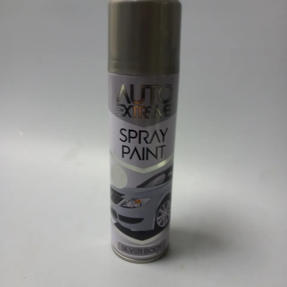 24 X 250ML AUTO SPRAY PAINT 