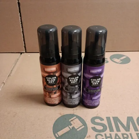 APPROXIMATELY 22 X ASSORTED MATRIX COLOR BLOW DRY HAIR CARE PRODUCTS TO INCLUDE CARAMEL BLONDE, BLOOMING ORCHARD ETC