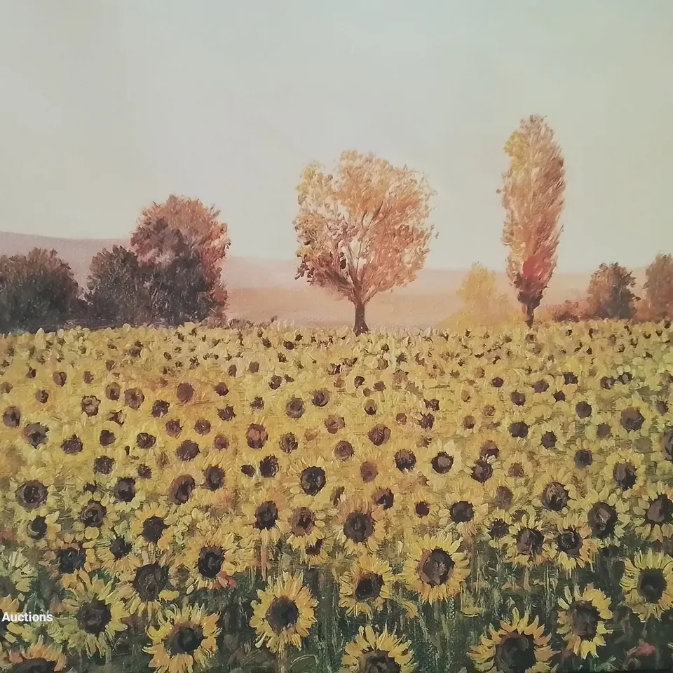 NOTHING BUT SUNFLOWERS  - WRAPPED CANVAS ART PRINT