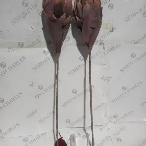 Alison Cork Set of 2 Protea Pre-Lit Faux Floral Stems