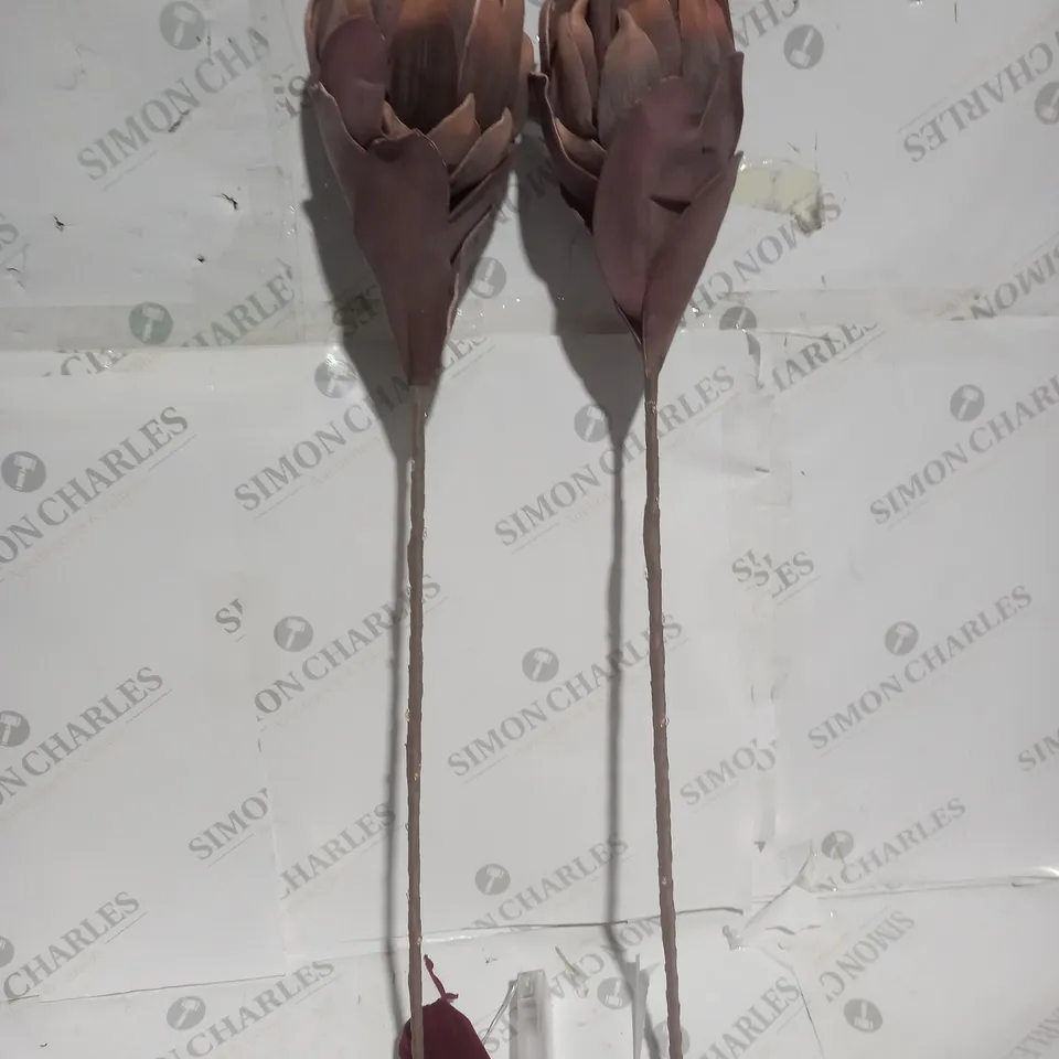 Alison Cork Set of 2 Protea Pre-Lit Faux Floral Stems