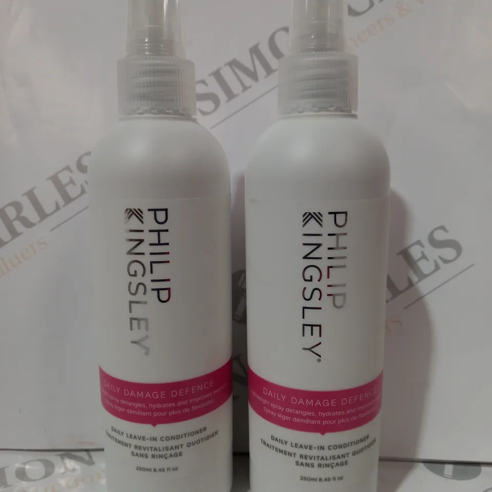 BOXED PHILIP KINGSLEY DAILY LEAVE-IN CONDITIONER DUO (250ML)