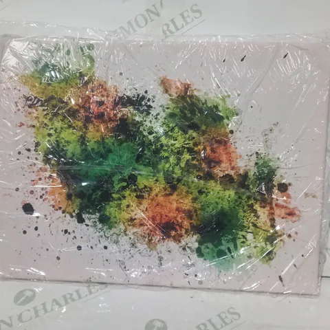 DECORATIVE PAINT SPLATTER/WATERCOLOUR CANVAS ART 31 X 41 X 3CM