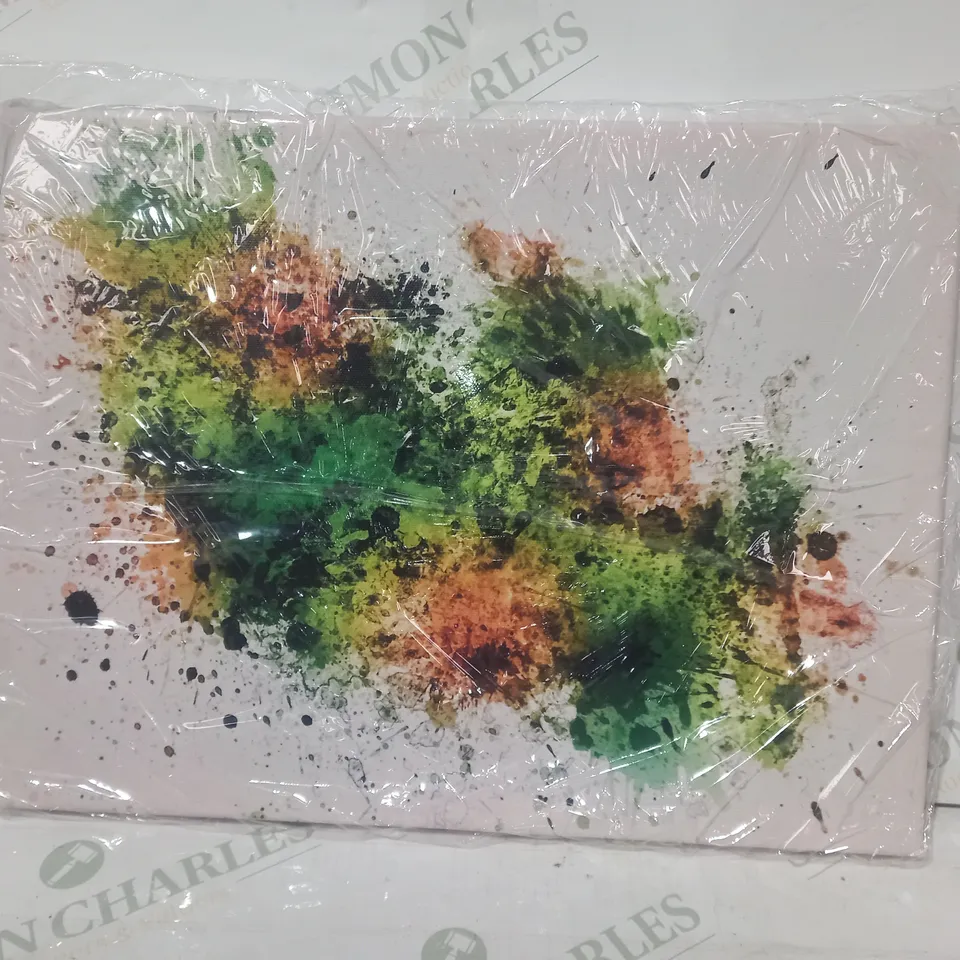 DECORATIVE PAINT SPLATTER/WATERCOLOUR CANVAS ART 31 X 41 X 3CM