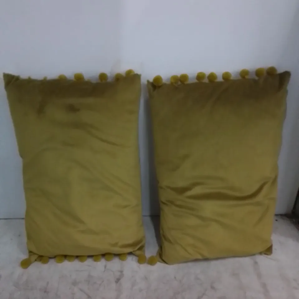 BAGGED SIMONEAU RECTANGULAR SCATTER CUSHION 